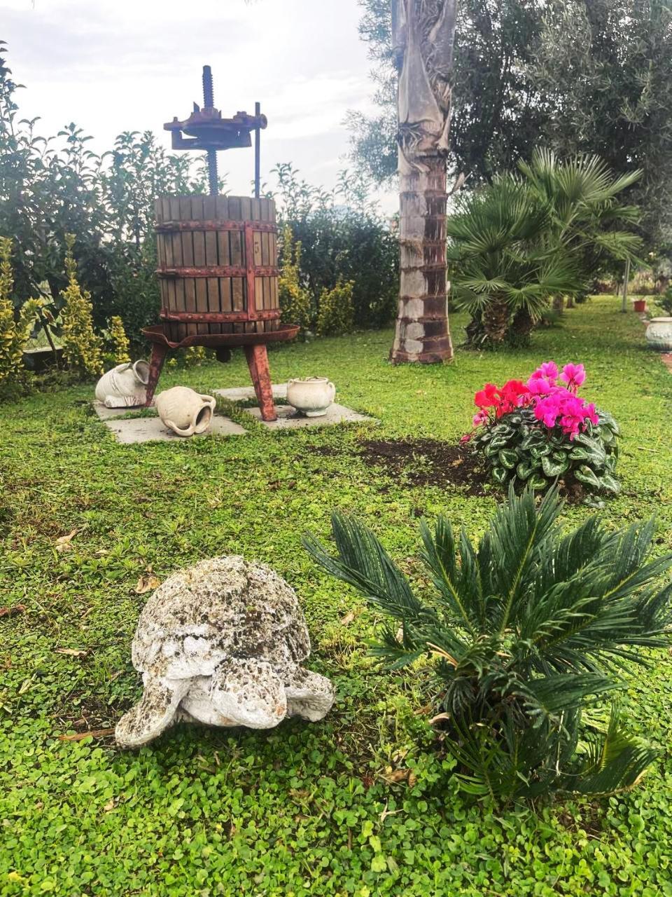 Casa Vacanze Paradise Santa Maria La Carita Luaran gambar