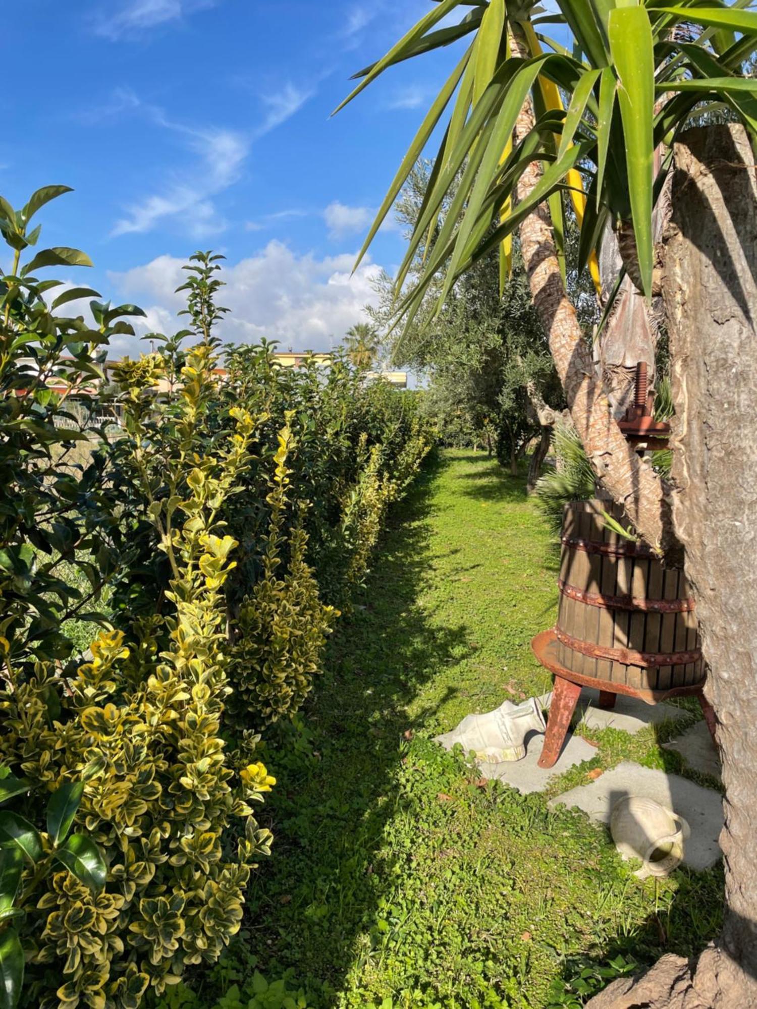Casa Vacanze Paradise Santa Maria La Carita Luaran gambar